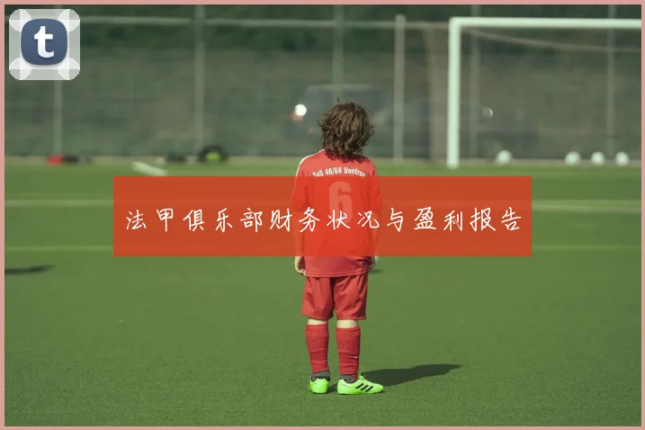 法甲俱乐部财务状况与盈利报告