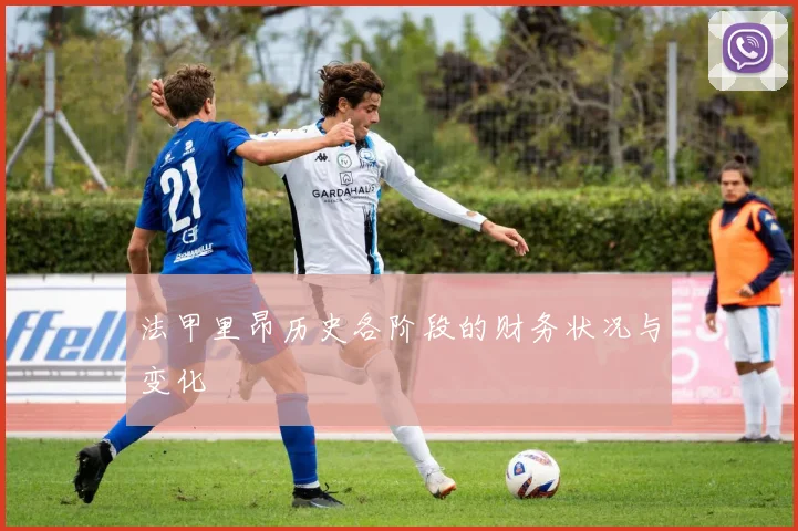 法甲里昂历史各阶段的财务状况与变化