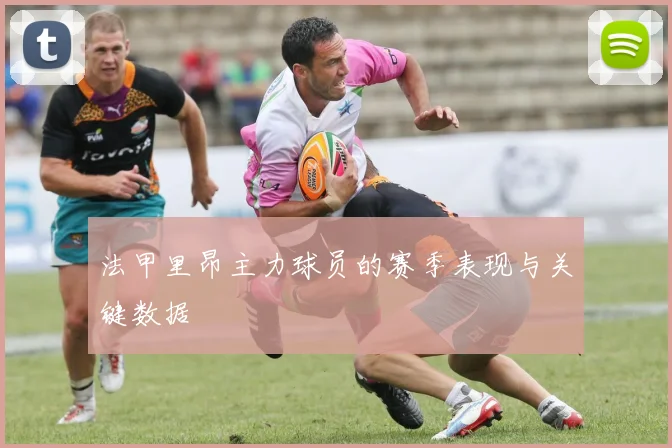 法甲里昂主力球员的赛季表现与关键数据